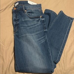 Loft Skinny Jeans NWT